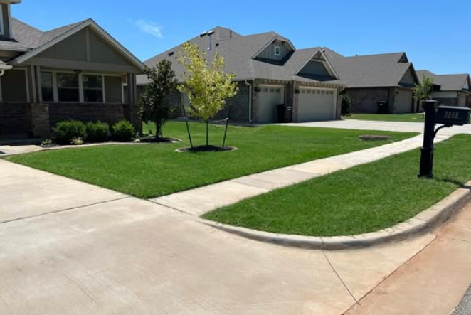 Lawn Mowing & Maintenance